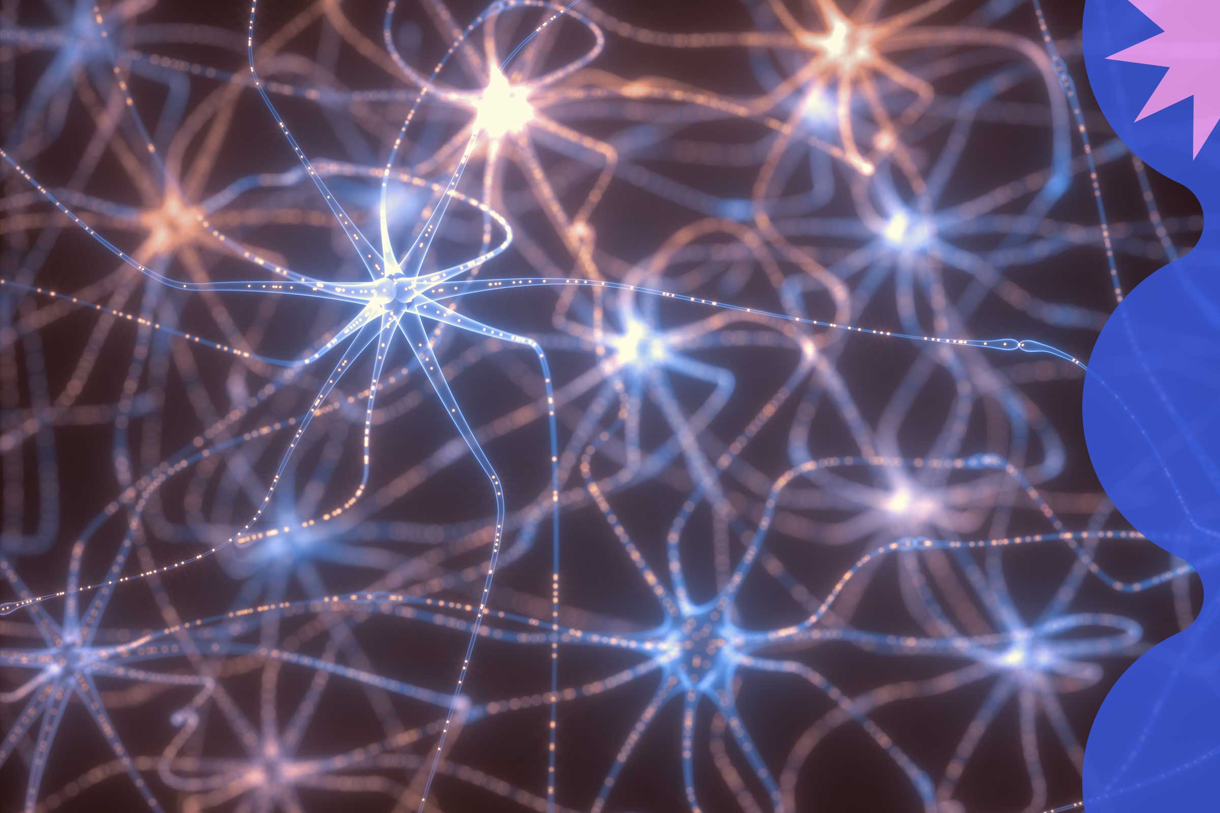 Representation of neural connections in the brain