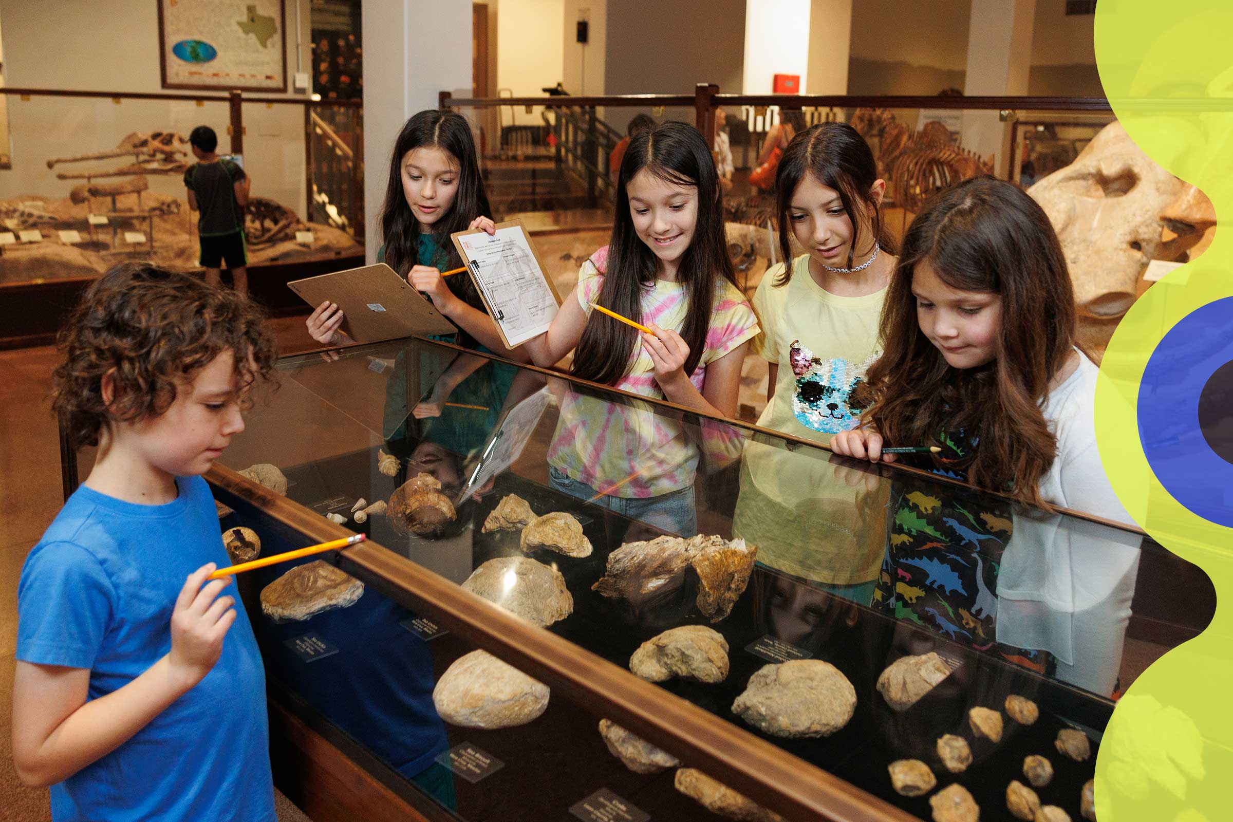Children examine a display of fossils