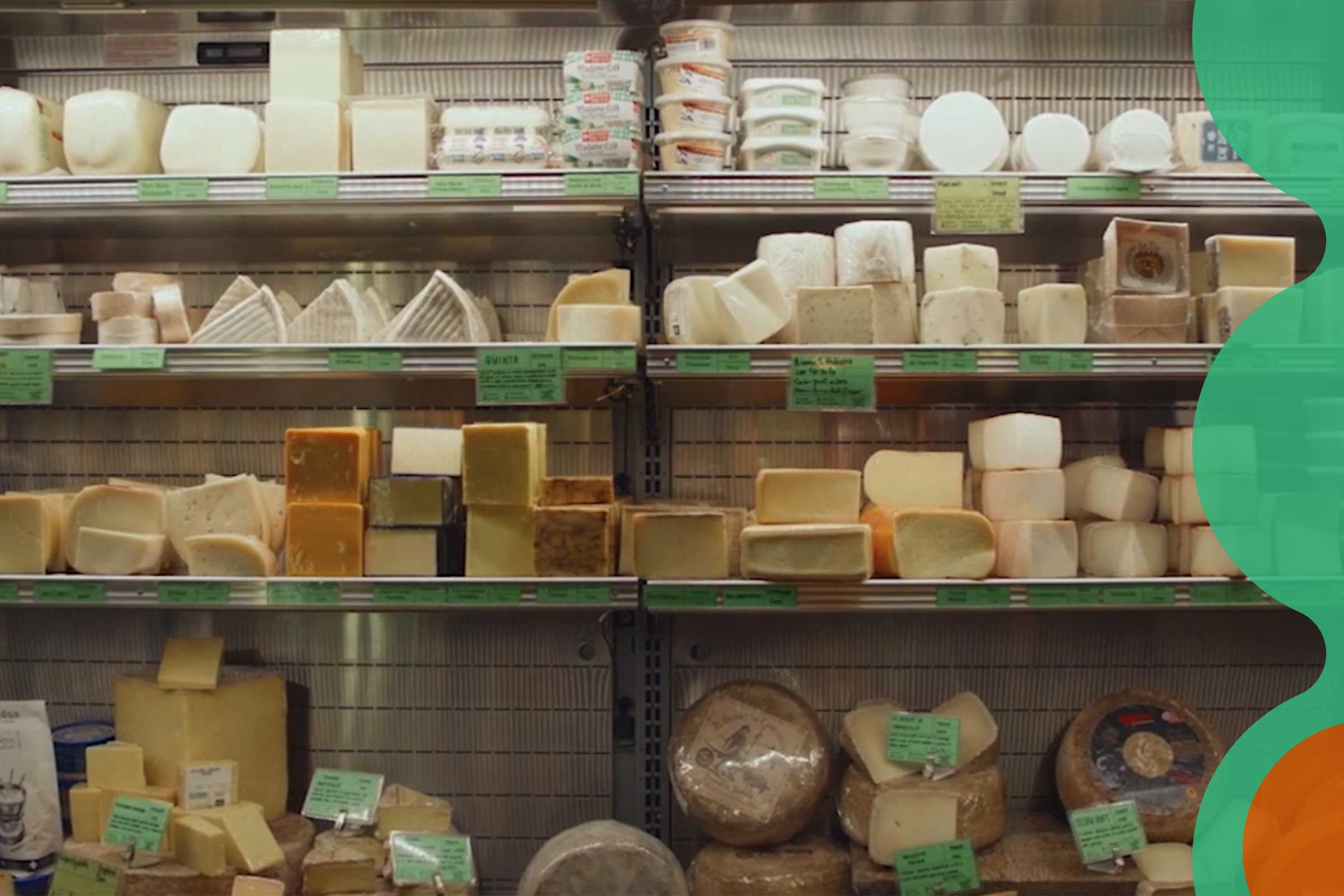 Shelves of cheeses feature dozens of varietals next to a Texas Science Festival graphic