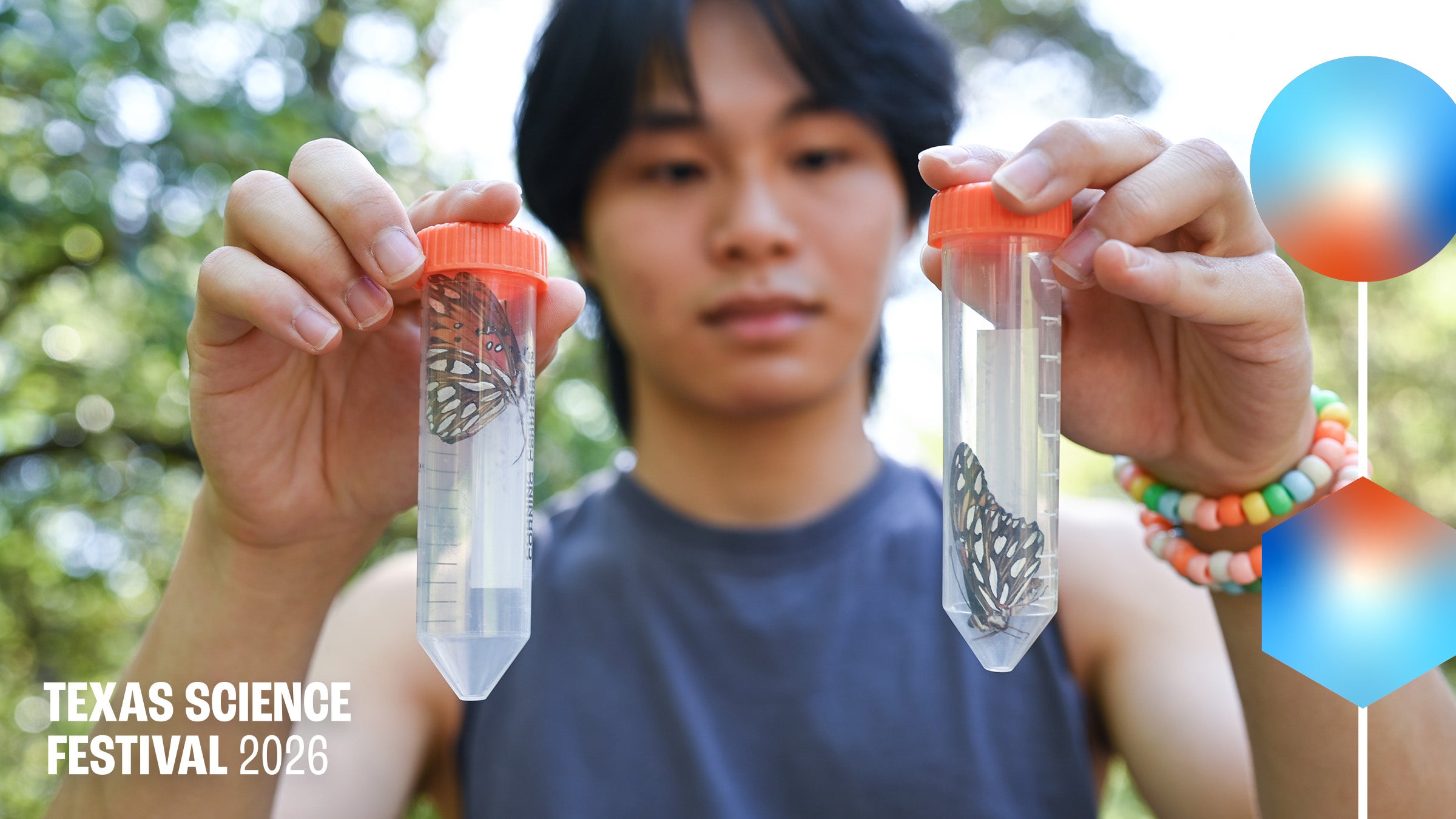 Evolution of Evolution